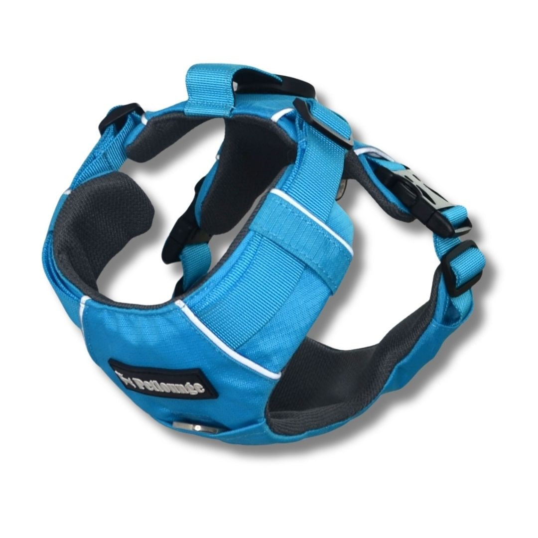 Pet Lounge Arnés Perro Outdoor Celeste