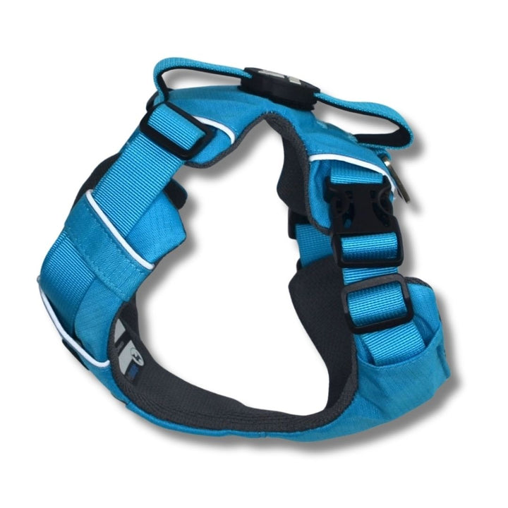 Pet Lounge Arnés Perro Outdoor Celeste