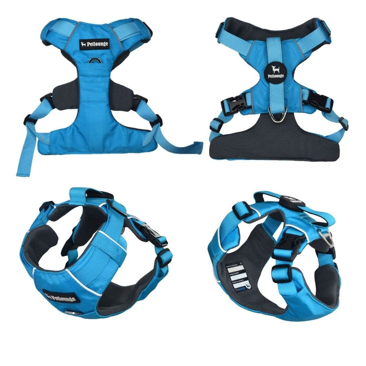 Pet Lounge Arnés Perro Outdoor Celeste