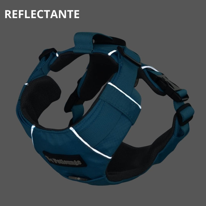 Pet Lounge Arnés Perro Outdoor Celeste