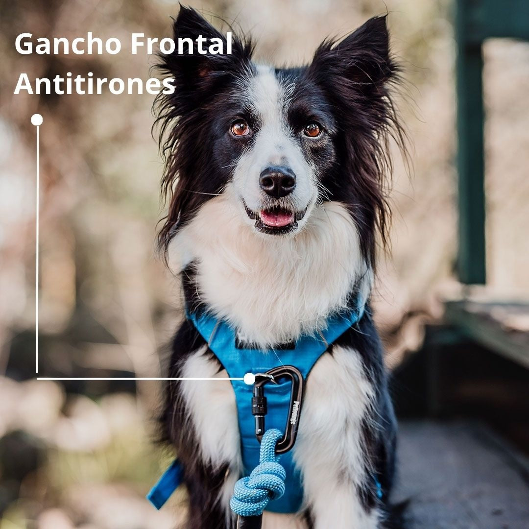 Pet Lounge Arnés Perro Outdoor Celeste