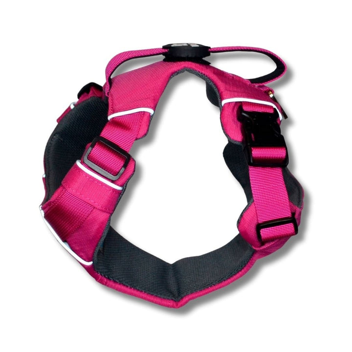 Pet Lounge Arnés Perro Outdoor Rosado