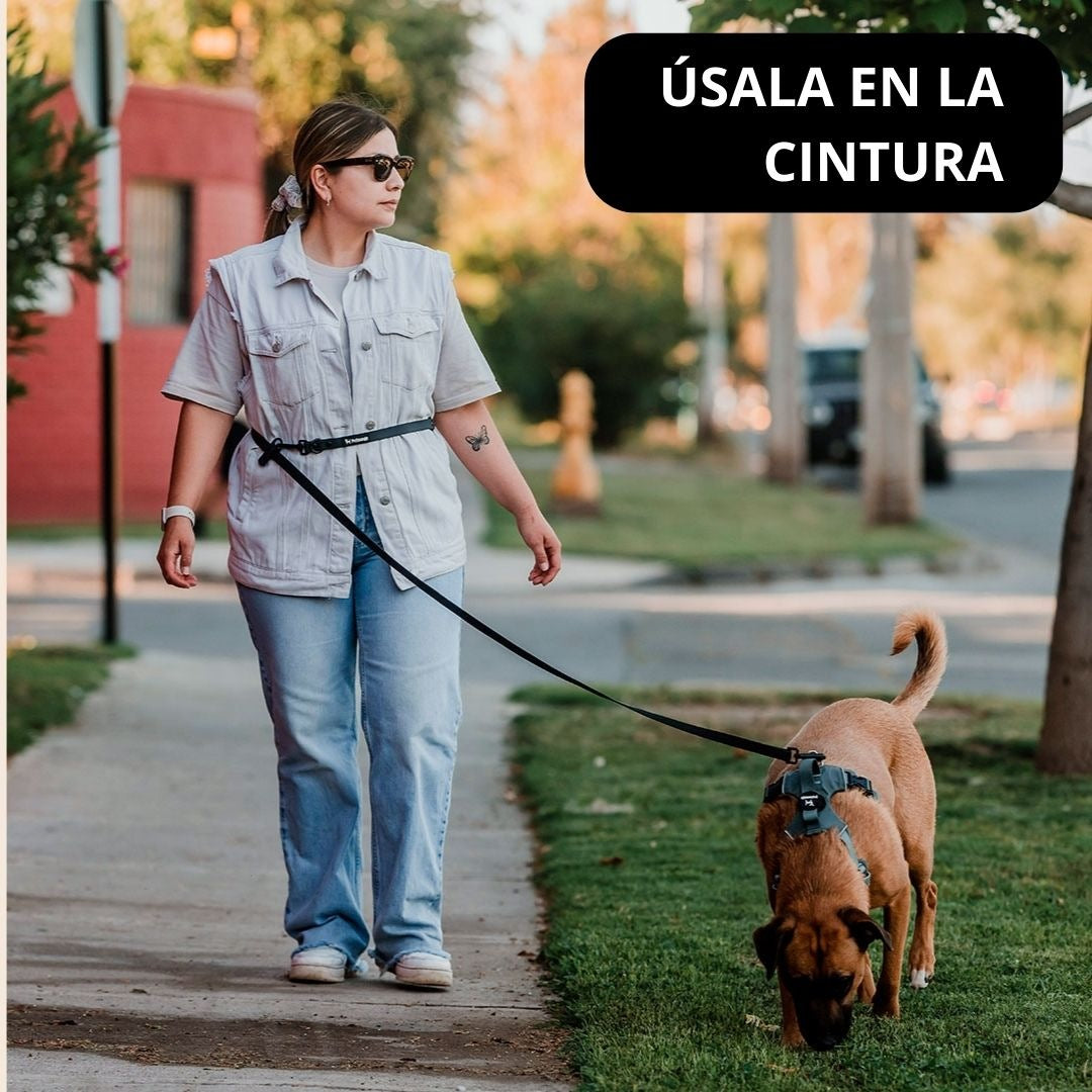 Pet Lounge Correa Perro Manos Libres Multiuso 5 en 1 Negra