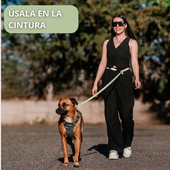 Pet Lounge Correa Perro Manos Libres Multiuso 5 en 1 Verde