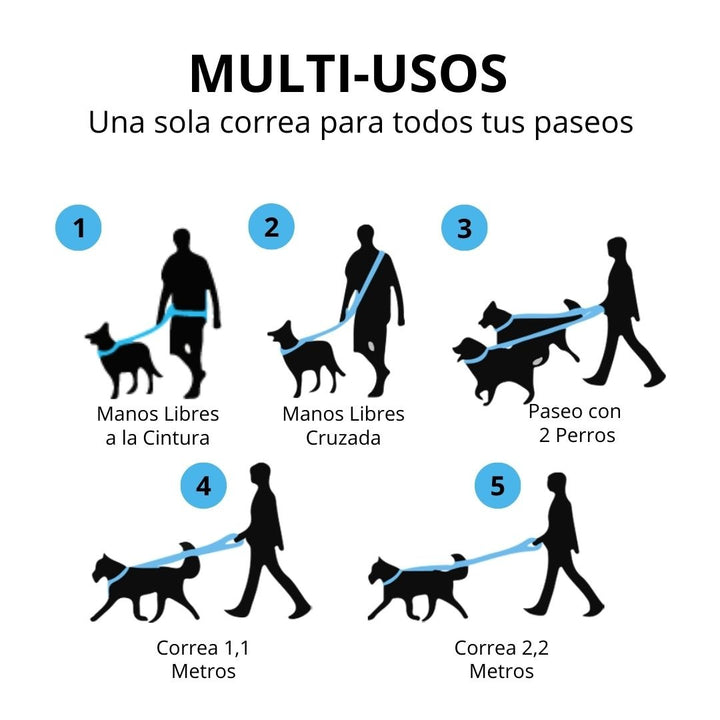 Pet Lounge Correa Perro Manos Libres Multiuso 5 en 1 Celeste