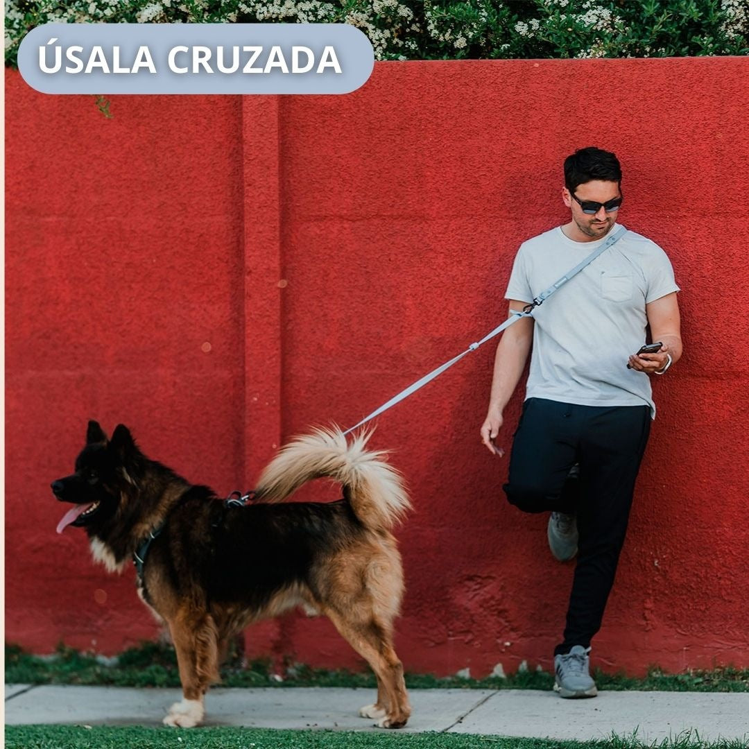 Pet Lounge Correa Perro Manos Libres Multiuso 5 en 1 Celeste