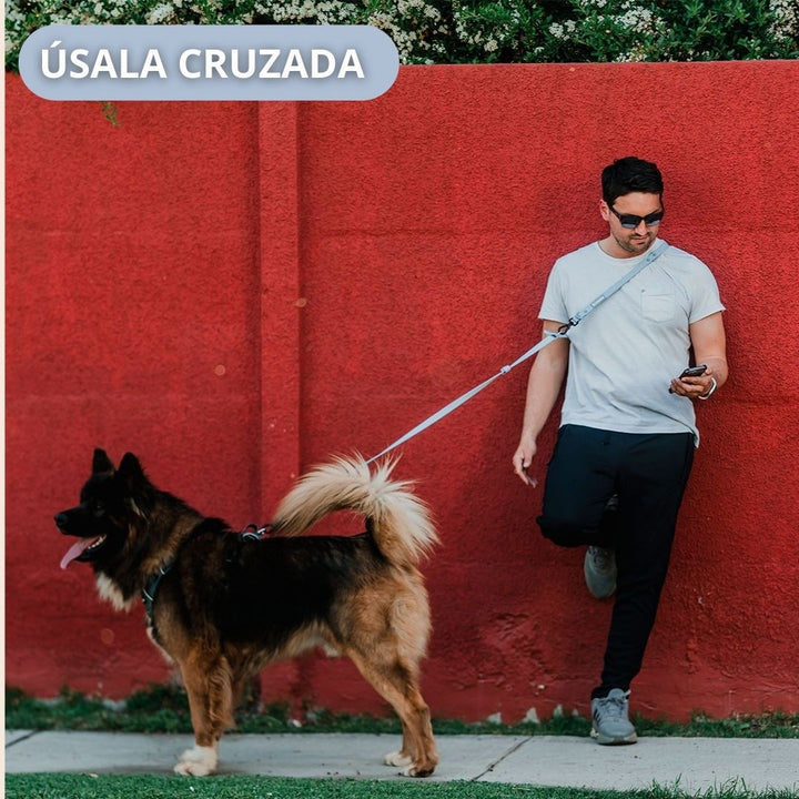 Pet Lounge Correa Perro Manos Libres Multiuso 5 en 1 Celeste