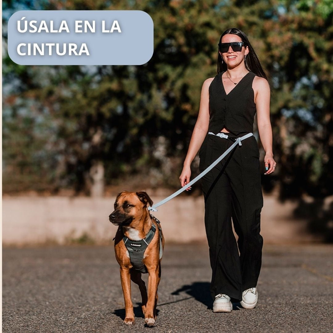 Pet Lounge Correa Perro Manos Libres Multiuso 5 en 1 Celeste