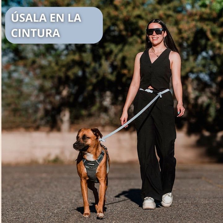 Pet Lounge Correa Perro Manos Libres Multiuso 5 en 1 Celeste