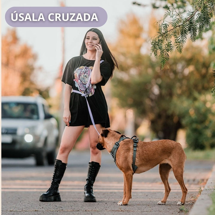 Pet Lounge Correa Perro Manos Libres Multiuso 5 en 1 Lila
