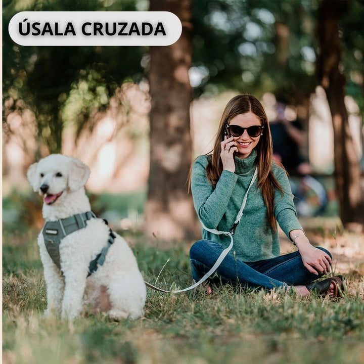 Pet Lounge Correa Perro Manos Libres Multiuso 5 en 1 Gris