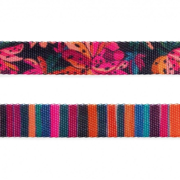 Zee Dog collar Selva para perro, detalle de la cinta estampada y de la cinta rayada
