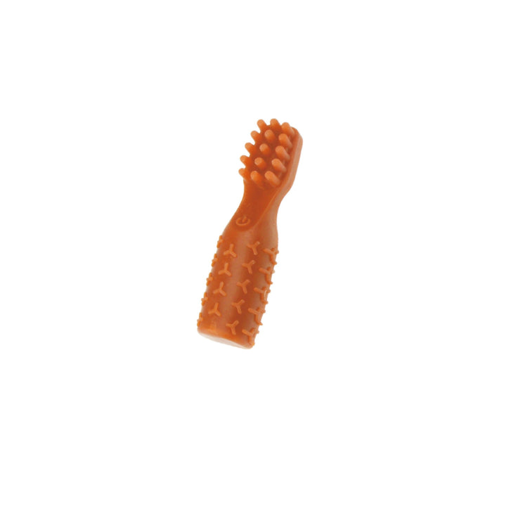 Dental Chews Fruit Veggie, snack dental con forma de cepillo