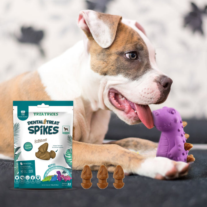 Perro jugando junto al envase de Dental Treat Spikes pollo