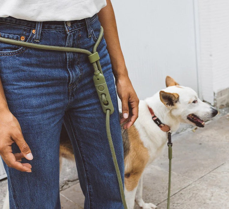 Zee Dog Army Green Correa Handsfree Perritos