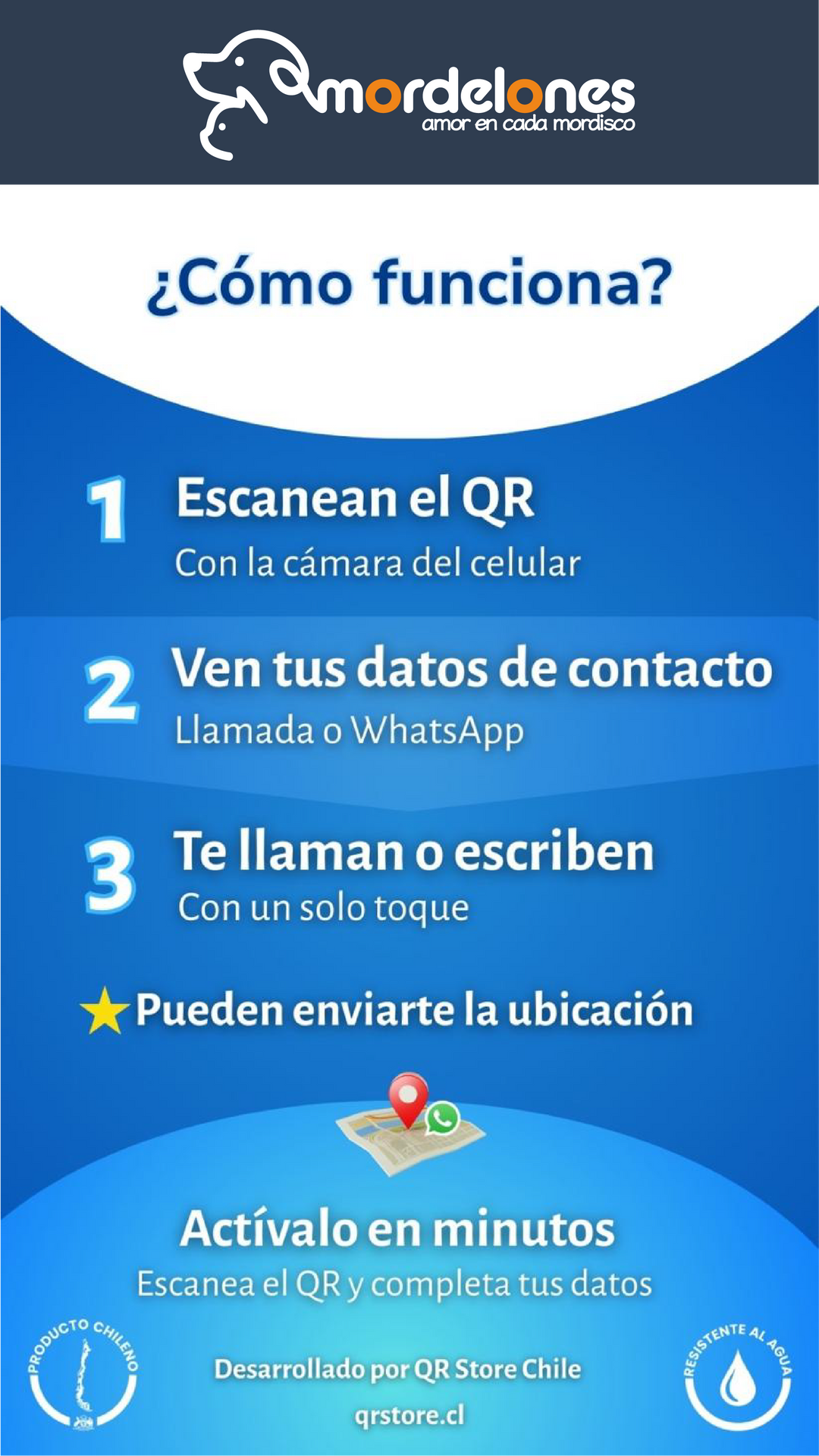 Ayúdame a Volver placa de identificación para mascota diseño detalle