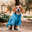 Pet Lounge Sweater Color Azul Perros y Gatos