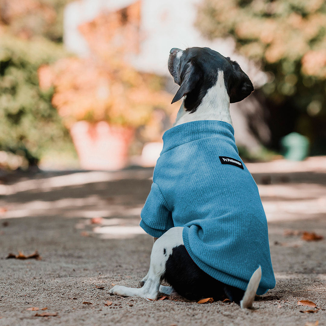 Pet Lounge Sweater Color Azul Perros y Gatos
