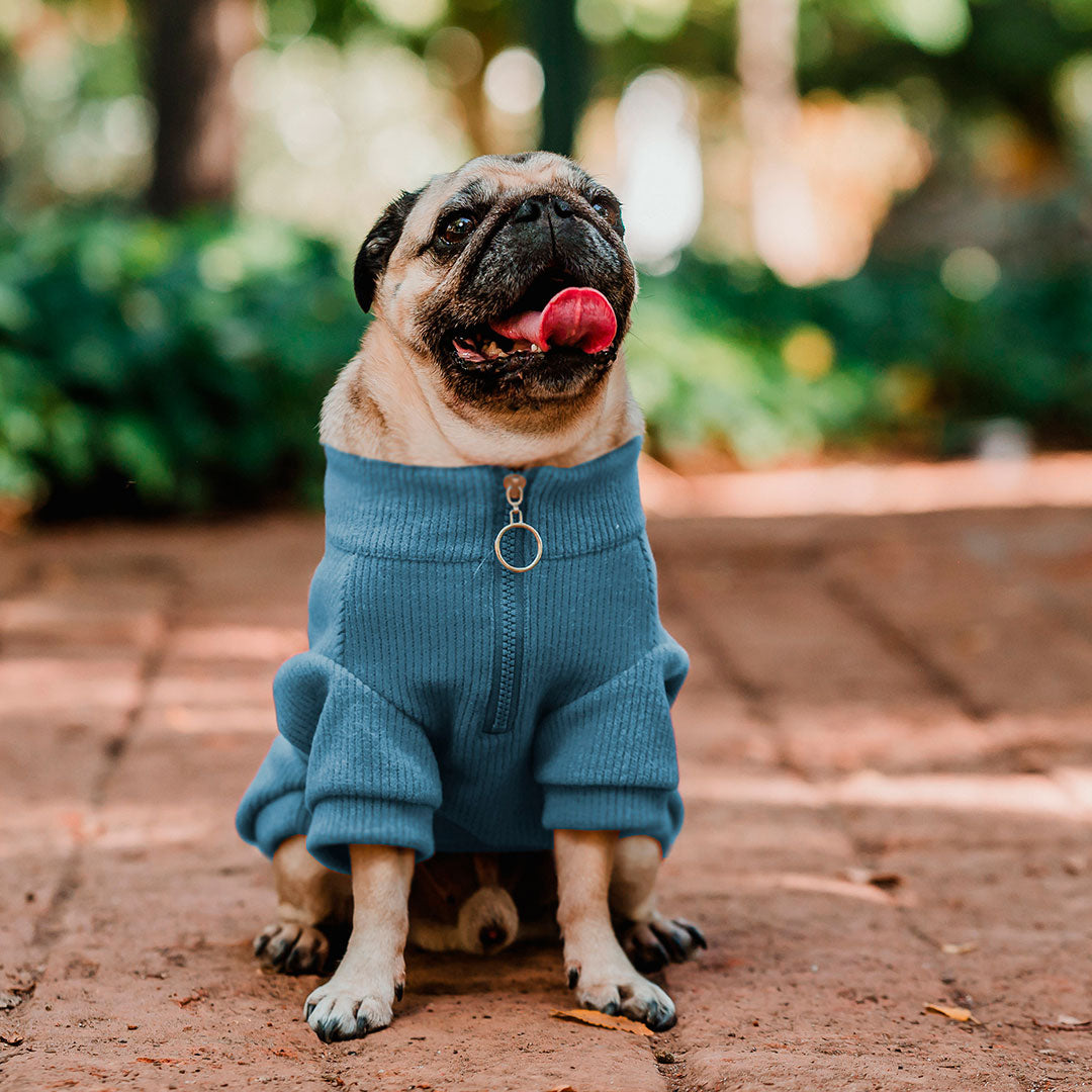 Pet Lounge Sweater Color Azul Perros y Gatos