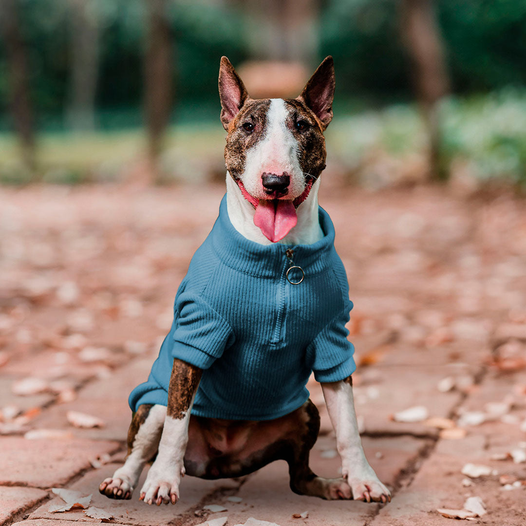Pet Lounge Sweater Color Azul Perros y Gatos