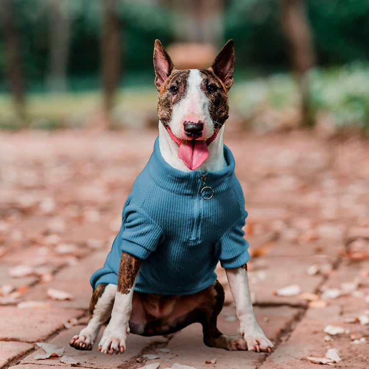 Pet Lounge Sweater Color Azul Perros y Gatos, vista 6