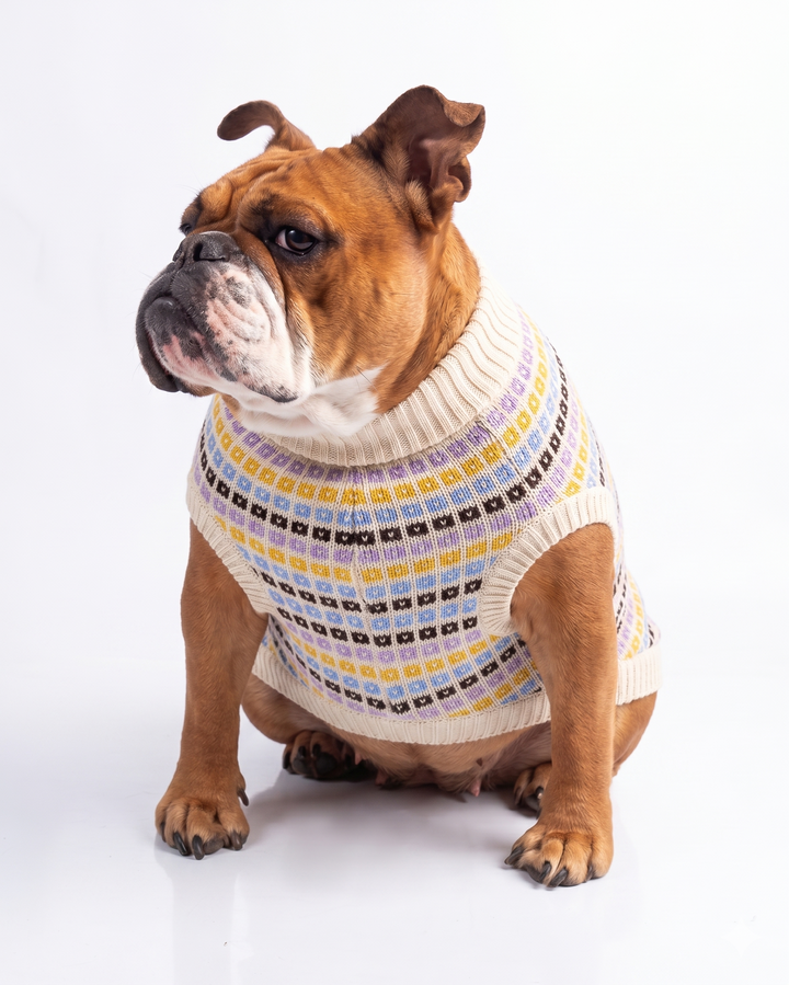 Chaleco beatle cuadritos blanco perro bulldog usando producto