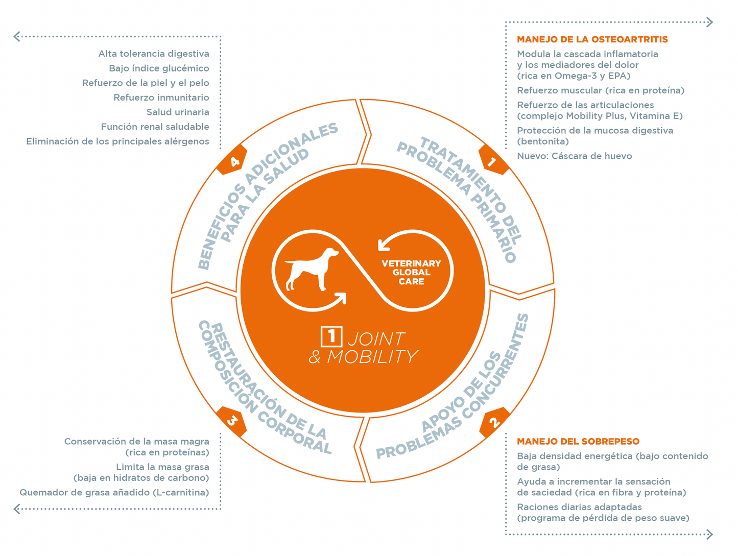 Virbac HPM Joint & Mobility D-Dog características y beneficios infografía