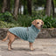 Pet Lounge Corderito Color Celeste Perros y Gatos