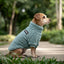Pet Lounge Corderito Color Celeste Perros y Gatos