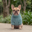 Pet Lounge Corderito Color Celeste Perros y Gatos