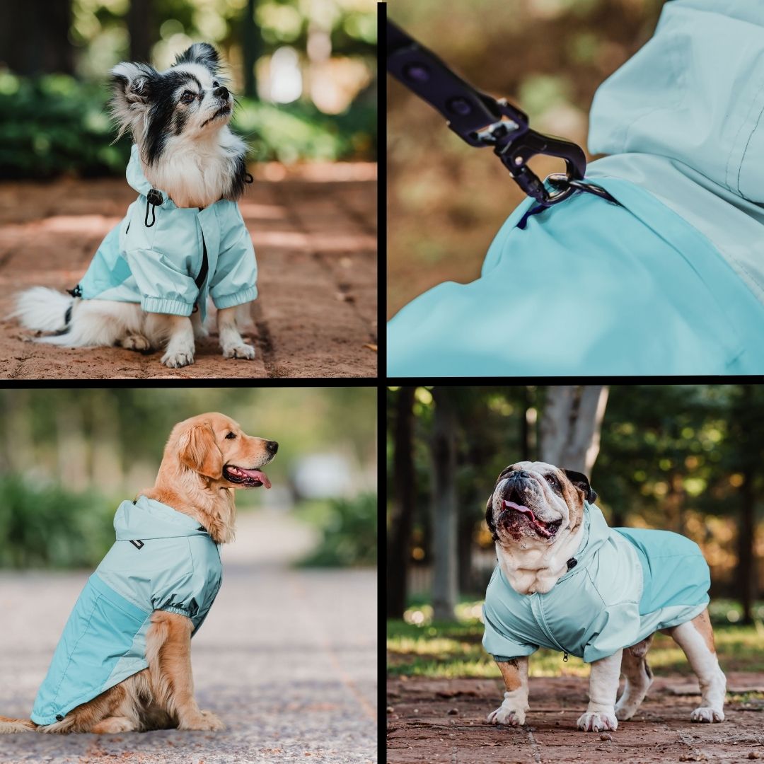 Pet Lounge Cortaviento Impermeable Perros y Gatos HYDROLITE Celeste