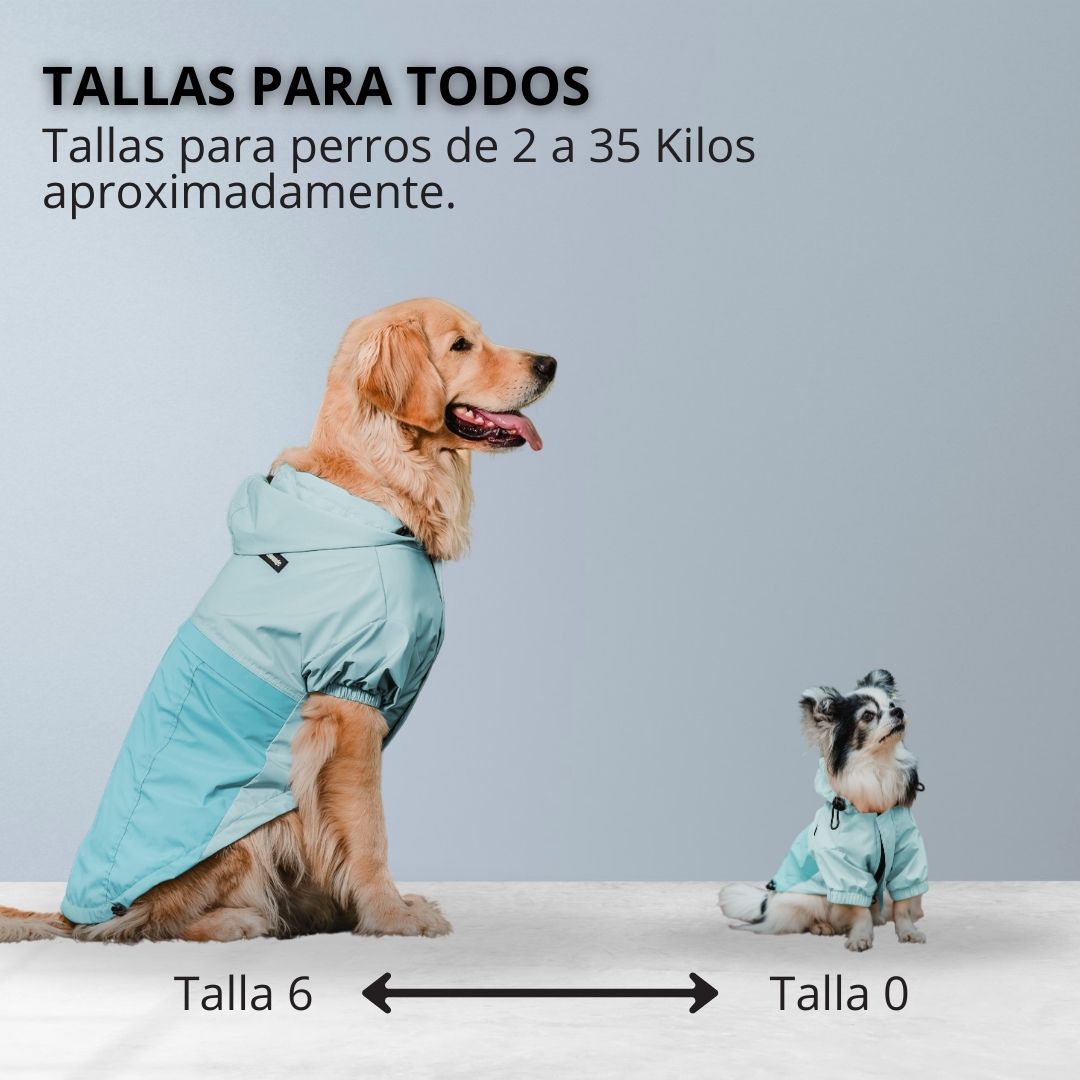 Pet Lounge Cortaviento Impermeable Perros y Gatos HYDROLITE Celeste