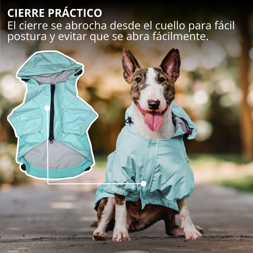 Pet Lounge Cortaviento Impermeable Perros y Gatos HYDROLITE Celeste