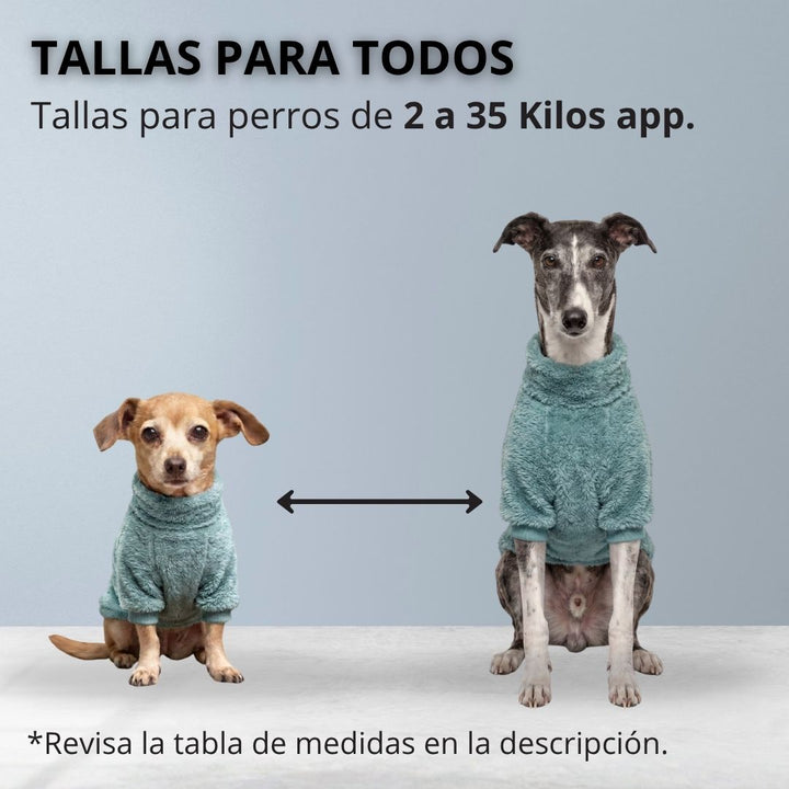 Pet Lounge corderito celeste para perros y gatos detalle etiqueta