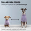 Pet Lounge Corderito Color Lila Perros y Gatos