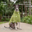 Pet Lounge Corderito Color Verde Perros y Gatos
