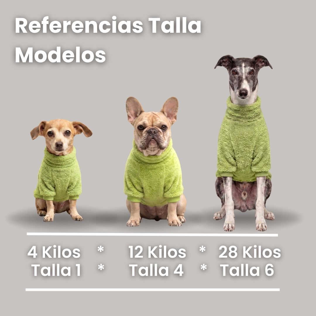 Pet Lounge Corderito Color Verde Perros y Gatos