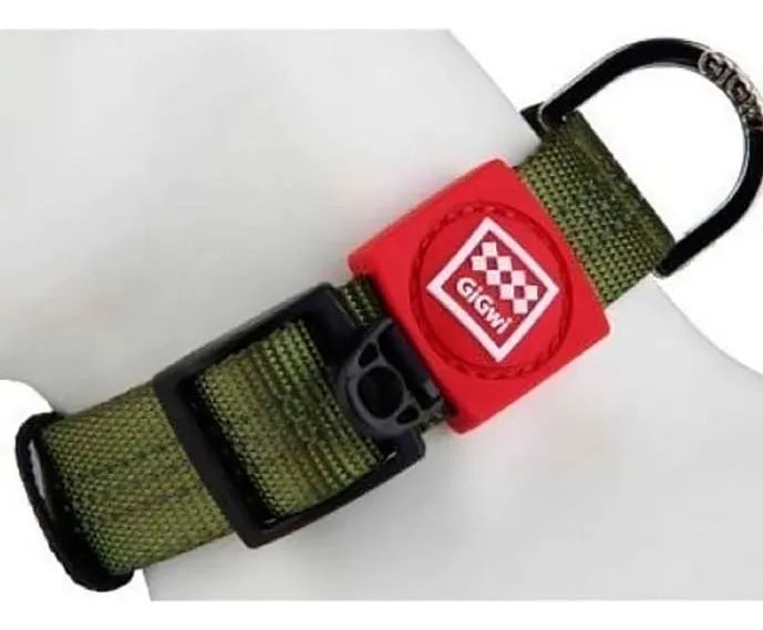 Gigwi Collares Perro Línea Clásica