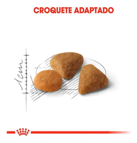 Royal Canin Gato Exigent 1.5 Kg