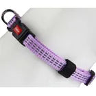 Gigwi Collares Perro Línea Clásica