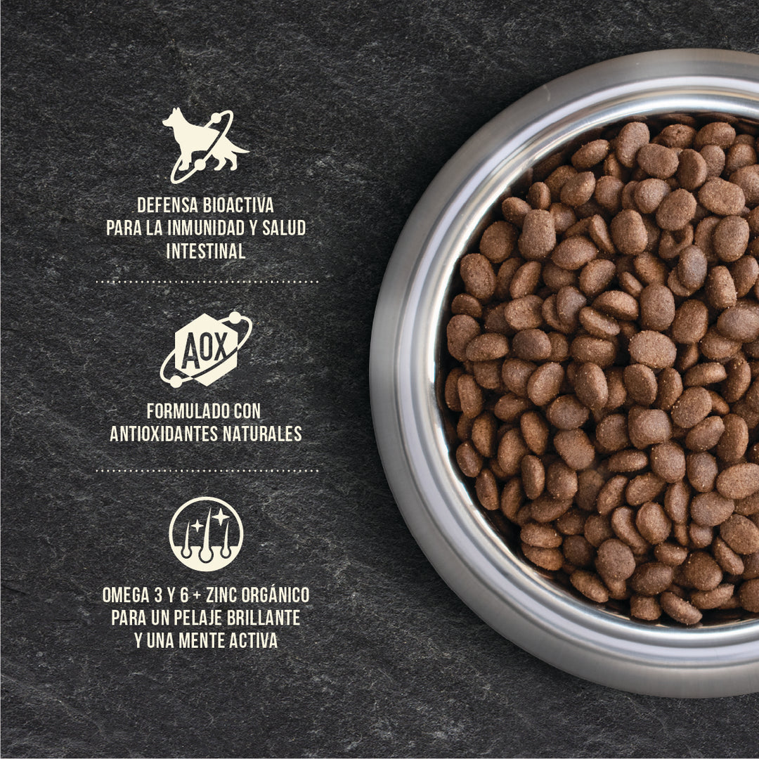 Nomade Perro Adulto - Detalle del producto