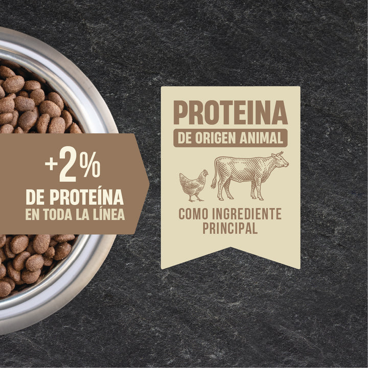 Nomade Perro Adulto - Ingredientes