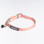 Fuzzyard Collar Gato Blitz Hebilla Desprendible (20-30 Cms.)
