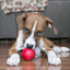 KONG Ball Medium/Large (M/L) para Perros – Pelota de Caucho Natural Resistente