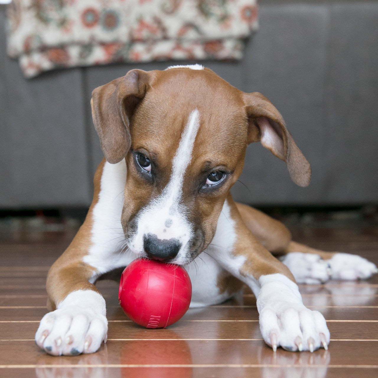 KONG Ball Medium/Large (M/L) para Perros – Pelota de Caucho Natural Resistente