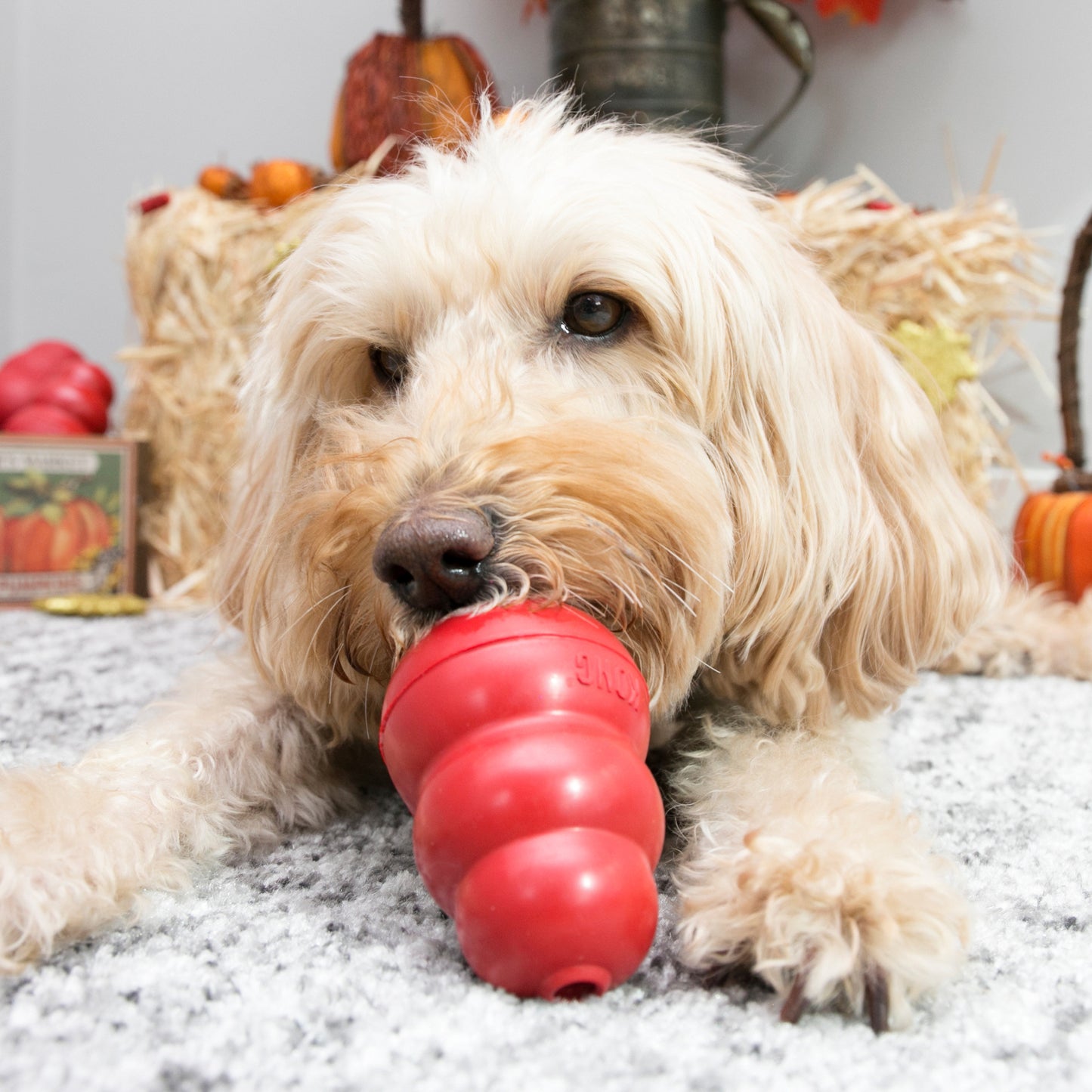 KONG Classic Medium (M) para Perros – Juguete Interactivo Rellenable