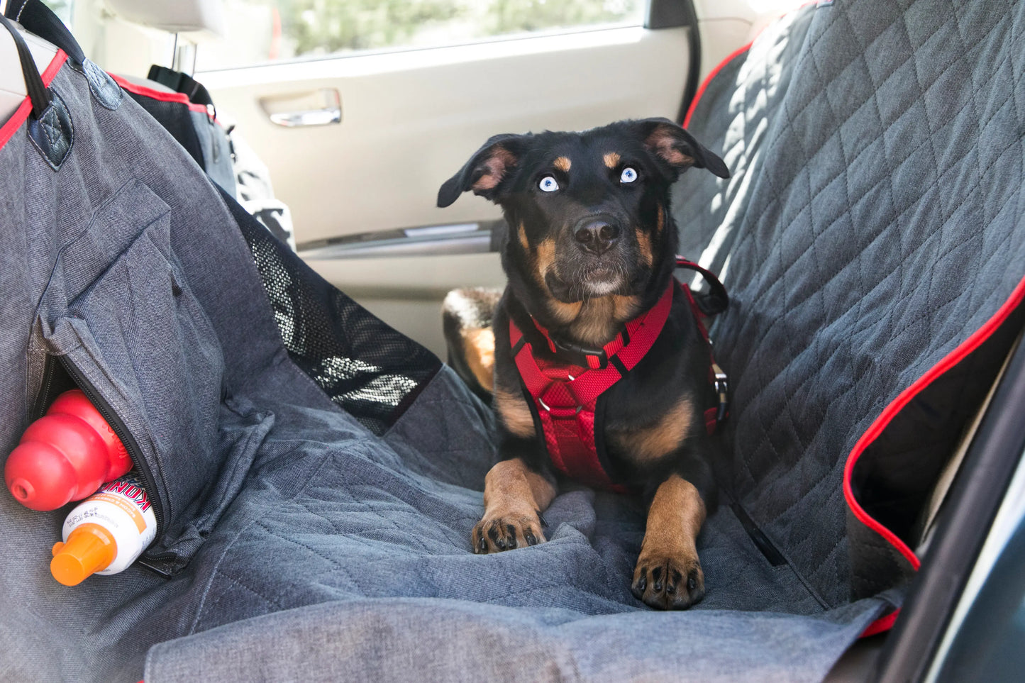 KONG Car Seat Cover & Hammock Protector de Asiento para Perros