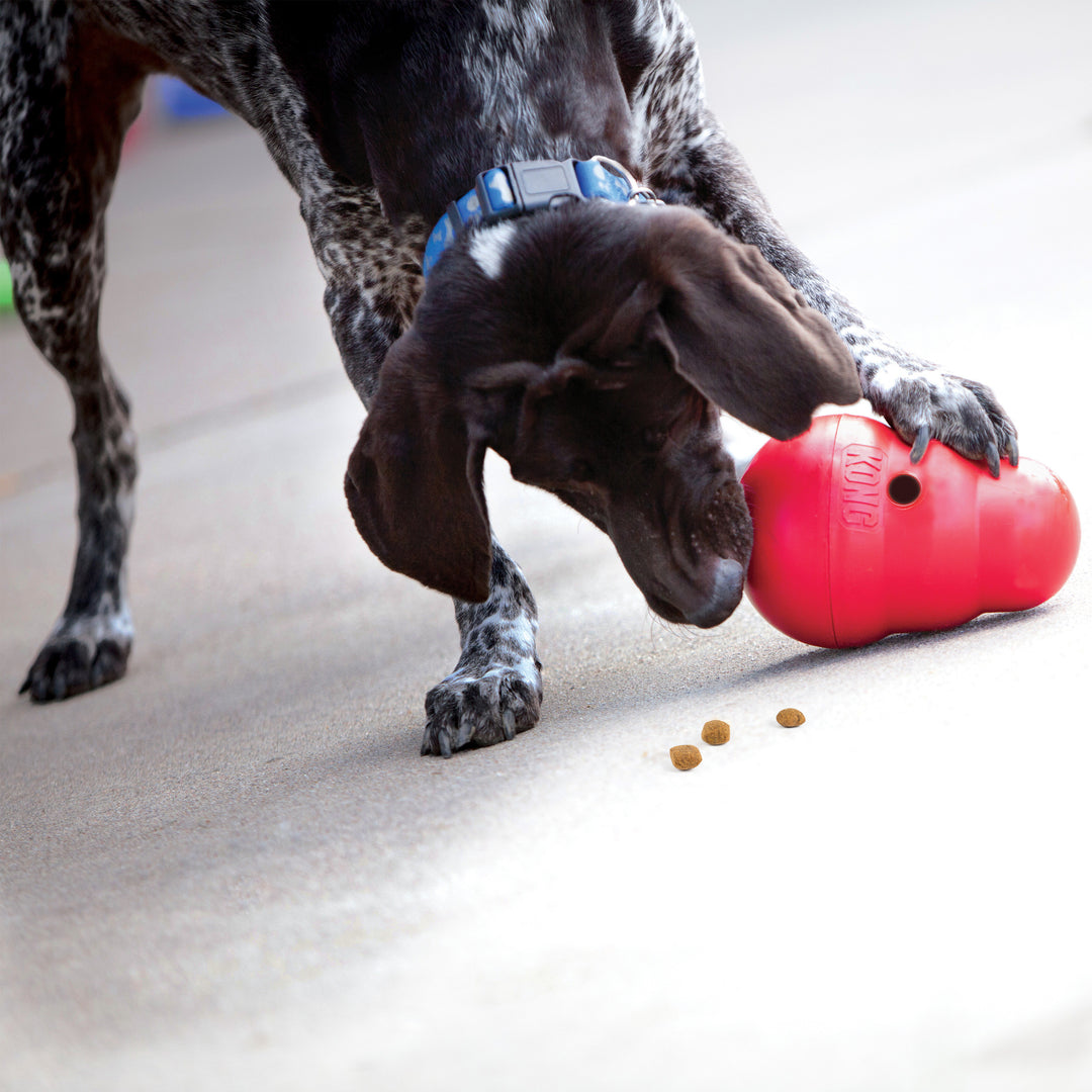 KONG Wobbler Large L perro jugando con dispensador