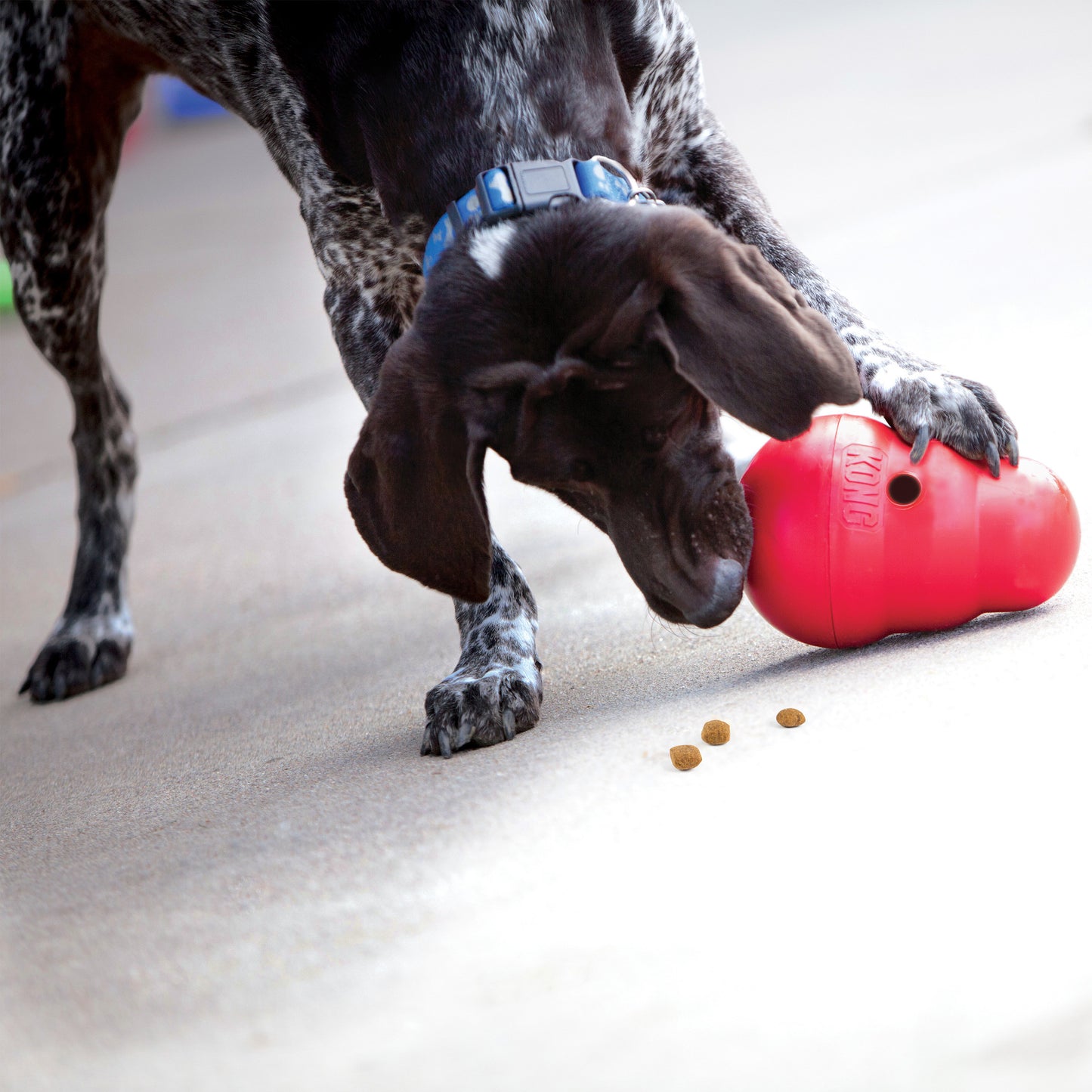 KONG Wobbler Large (L) para Perros – Dispensador Interactivo de Alimento y Premios