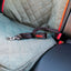 KONG Deluxe Swivel Tether Perros Cinturón de Seguridad Mosquetón Giratorio